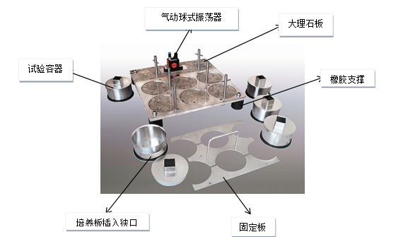 1731477931333372.png image.png